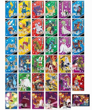 Load image into Gallery viewer, Pokemon Mystery Bromide Cards Booster Pack Ensky