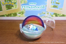 Load image into Gallery viewer, Pokemon Blind Box Terrarium Collection Vol. 13 Re-Ment