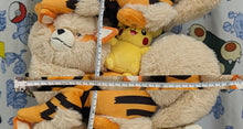 Load image into Gallery viewer, Pokemon Plush Arcanine & Pikachu Okinawa Exclusive 1 Year Anniversary Pokemon Center