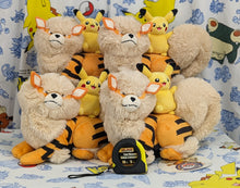 Load image into Gallery viewer, Pokemon Plush Arcanine & Pikachu Okinawa Exclusive 1 Year Anniversary Pokemon Center