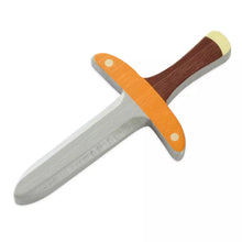 Load image into Gallery viewer, Disney Costume Accessory Set Peter Pan