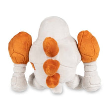 Load image into Gallery viewer, Pokemon Plush Regirock Pokedoll Pokemon Center