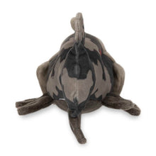 Load image into Gallery viewer, Pokemon Center Relicanth Sitting Cutie/Fit