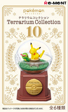 Load image into Gallery viewer, Pokemon Blind Box Terrarium Collection Vol. 10 Re-Ment