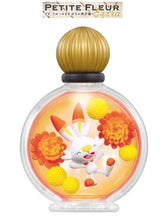 Load image into Gallery viewer, Pokemon Blind Box PETITE FLEUR EX Galar Region Re-Ment