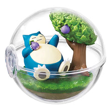 Load image into Gallery viewer, Pokemon Blind Box Happy Days Terrarium Re-Ment
