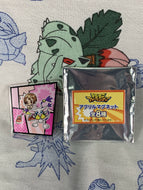 Digimon Adventure Limited Base Goods Acrylic Magnet Hikari Yagami with Tailmon