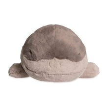 Load image into Gallery viewer, Pokemon Plush Clodsire Comfy Friends / Fuwa Fuwa Pokemon Center
