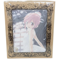Puella Magi Madoka Magica Kaname Madoka Madogatari Canvas Art Shaft