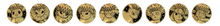Load image into Gallery viewer, Pokemon TCG Coin Box Terastal Gathering Simplified Chinese
