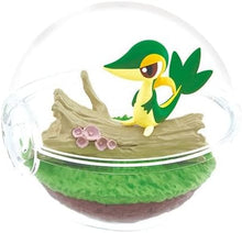 Load image into Gallery viewer, Pokemon Blind Box Terrarium Collection Vol.12 Re-Ment
