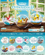 Load image into Gallery viewer, Pokemon Blind Box Terrarium Collection Vol. 13 Re-Ment
