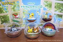 Load image into Gallery viewer, Pokemon Blind Box Terrarium Collection Vol. 13 Re-Ment
