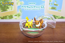 Load image into Gallery viewer, Pokemon Blind Box Terrarium Collection Vol. 13 Re-Ment
