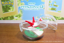 Load image into Gallery viewer, Pokemon Blind Box Terrarium Collection Vol. 13 Re-Ment
