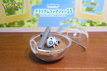 Load image into Gallery viewer, Pokemon Blind Box Terrarium Collection Vol. 13 Re-Ment
