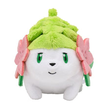 Load image into Gallery viewer, Pokemon Center Shaymin (Land Form) Sitting Cutie/Fit
