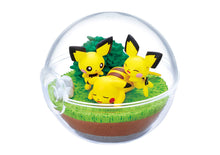 Load image into Gallery viewer, Pokemon Blind Box Terrarium Collection Vol. 9 Re-Ment
