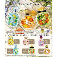 Pokemon Blind Box PETITE FLEUR EX Galar Region Re-Ment
